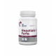 Hepatiale Small Breed Vet Expert – Supliment Hepatoprotector pentru Câini de Talie Mică, 40 Capsule Twist-Off
